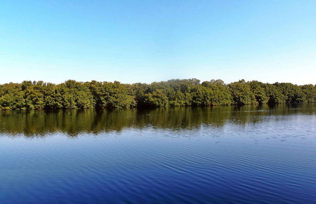 Cacao Lagoon Kayak Tour - Photo 3
