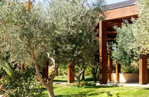 Oikos in Terre di Zaccanello - Photo 155