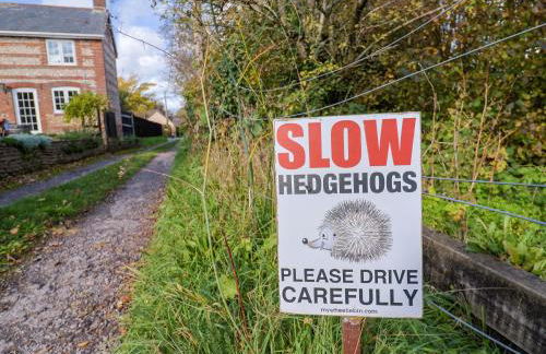 Poppy Cottage - Photo 29