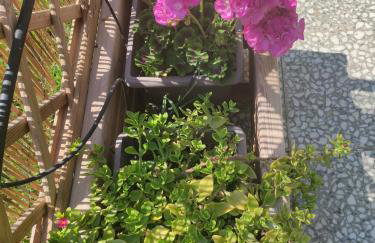 Σοφίτα Μαρτά - Foto 54