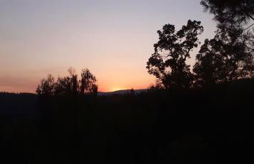 Casa da Abelha- Beehouse - Foto 16