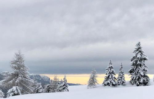 Anger living - Photo 66