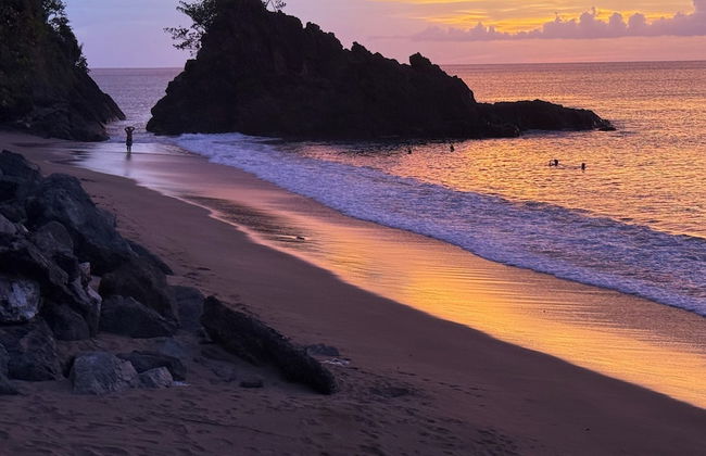 Birdie's Nest - Foto 32