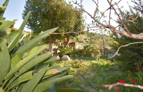 Zaros Traditional House - Foto 17