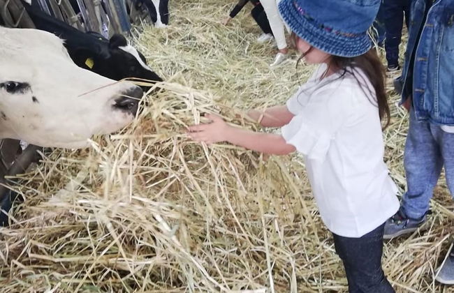 Agriturismo Modi - Foto 25