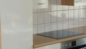 Appartement 2 Schlafzimmer, Terrasse, Hund, Kamin - Foto 3