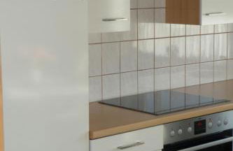 Appartement 2 Schlafzimmer, Terrasse, Hund, Kamin - Foto 3