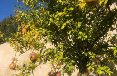 Basto Village House - Foto 27