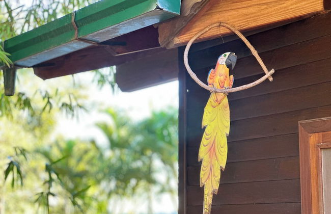 Costa del Sol Iguazú - Photo 35