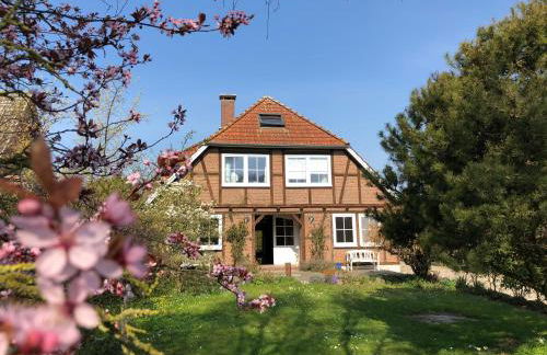 Ferienwohnung auf der Sonneninsel - Foto 1