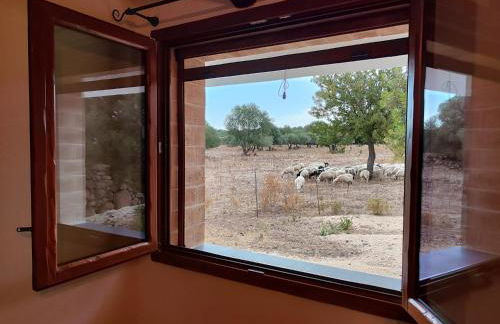 Cuile Casari - Foto 17