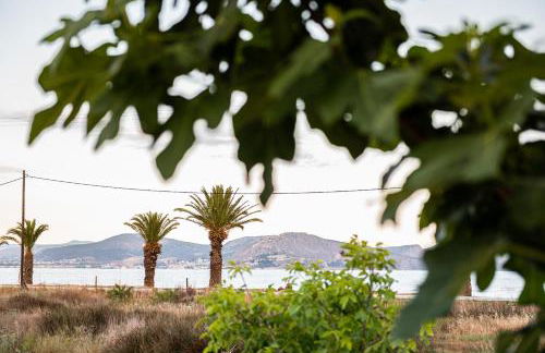 Sea View Residence - Foto 21