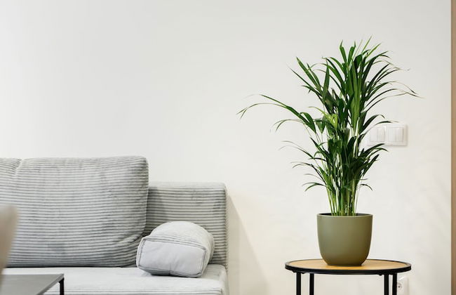 RIGAAPARTMENT ELIZABETES 22 Aparthotel - Photo 8