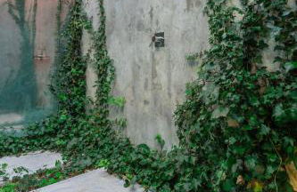 Rio do Prado - Foto 100