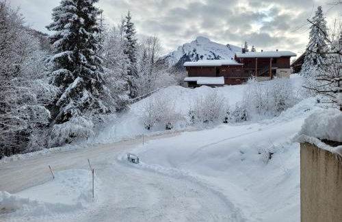 Studio rénové La Clusaz - Foto 13