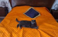 Da Ersilia - Foto 55