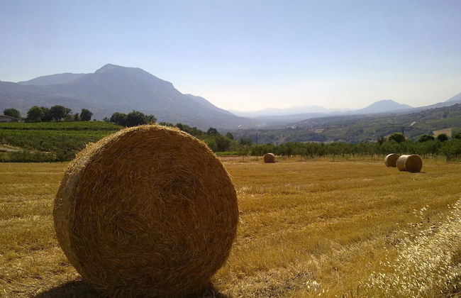 Masseria Frangiosa - Foto 55