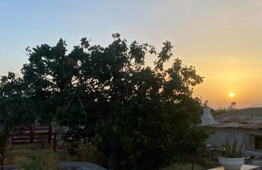 Mitsakos Golden House - Foto 34