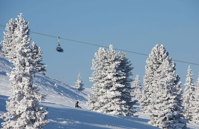 Chalet Hochkrimml With Sauna on the ski Slope - Foto 31