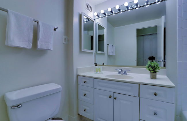 Spacious 2BR Apartment in Crystal City - Photo 31