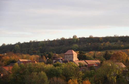Ferienwohnung im schönen Zellertal - Foto 17