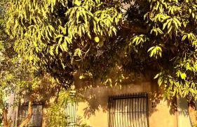 Kitnet do Recanto em Guriri - Photo 8