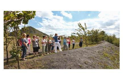 Appart'hôtel et chambres Lens - Foto 21