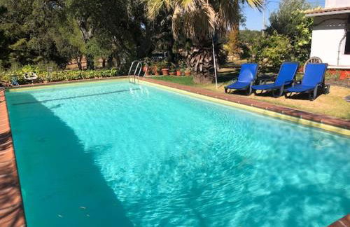 Monte do Rei Santo - Foto 1