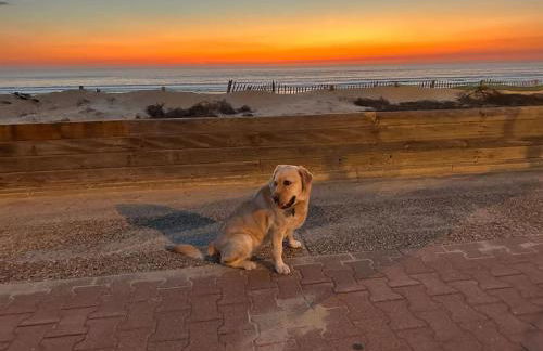 Très bel appartement neuf - Parking et Terrasse - Foto 14