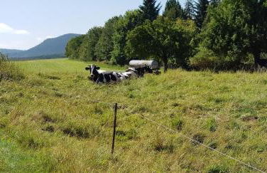 Hossies Hof - Elke - Foto 18