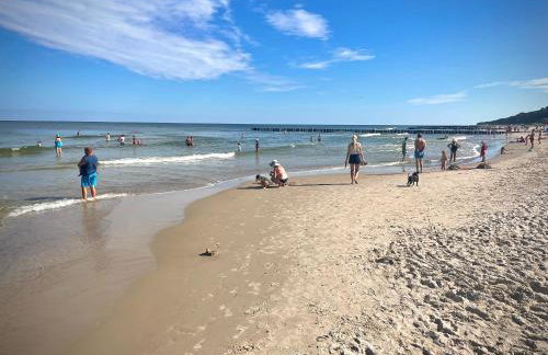 REZYDENCJA NIECHORZE Apart 123 ogrodzony ogródek przy plaży - Foto 16