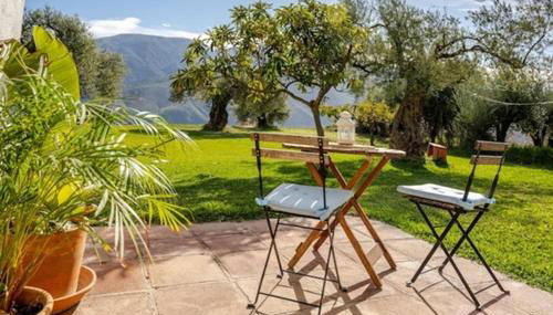 Tropical Studio - Foto 3