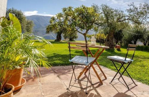 Tropical Studio - Foto 3