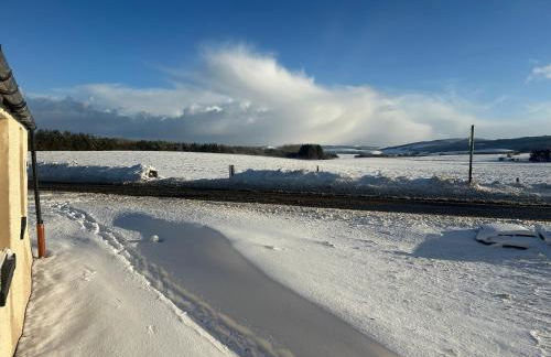 Calsie Cottage, Clatt - Photo 14
