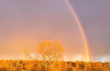 Galerie-Studio im Grünen mit Frühstück im Hotel Reindahls - Foto 11