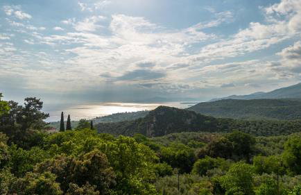 Zelis In Pelion Greece - Foto 27