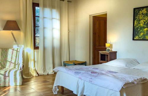 Mas de charme en pleine Camargue - Photo 22