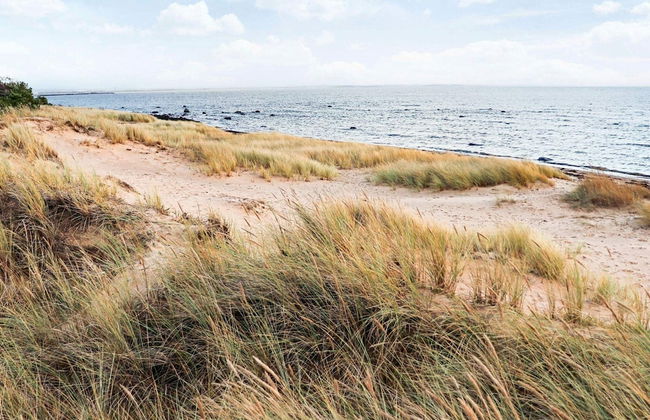 4 Star Holiday Home in Halmstad - Foto 18