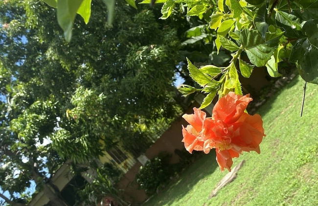 YanceyLargo-6BR Two-Story Estate w/Mountain Views by RedAwning - Foto 42