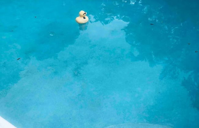 Miami Pool Cottage in El Portal - Foto 53