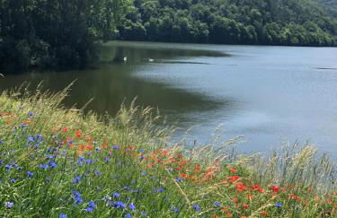 Fewo Seeresidenz auf Scheid - Foto 8