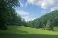 Home in the Heart of W.V. Adventure Country! - Photo 36