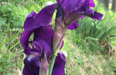 Villa Baronzola - Foto 79