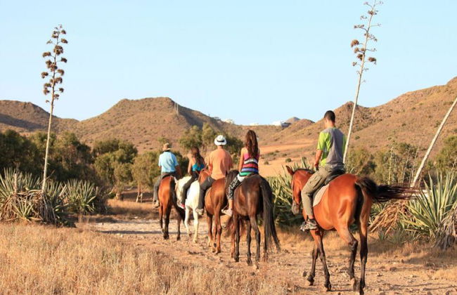 Passeio a Cavalo - Tour - Foto 6