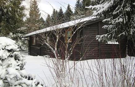 Hüttenflair am See mit Kamin - Foto 38