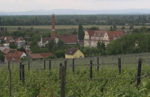Gite duplex du vignoble Alsace - Foto 41