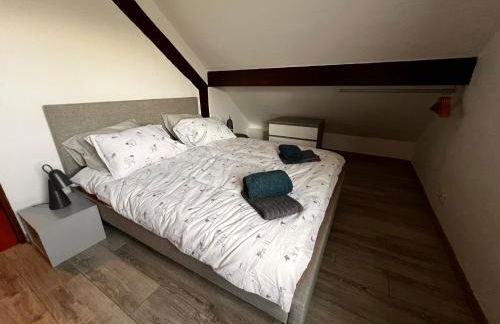 Gîte de la petite Reine - Foto 11