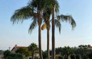 Camélias Casa de Charme - Foto 5