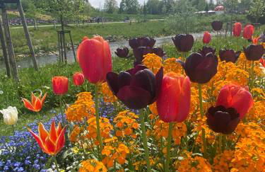 Schöne Wohnung in der Altstadt - Foto 47