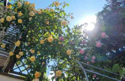 Ferienwohnung Erbachstraße - Foto 14